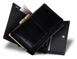 ������� ��������